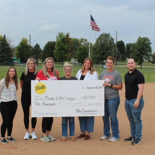 Breda Little League Lighting Project